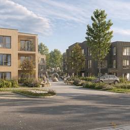 Scandinavian Village Render