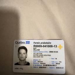 Nachher - Geburtsdatum auf Quebec-Ausweis bearbeiten