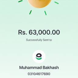 Green Payment Screenshot Edit