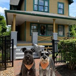 After - Add Dogs to House Photo