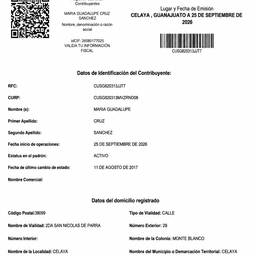 Scanned Document Effect