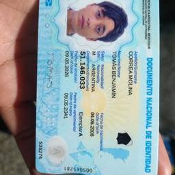 Argentine DNI Year Edit