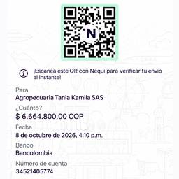 Payment Screenshot Amount Edit