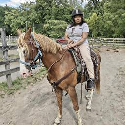 Horse Riding Photo Edit