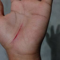 Realistic Cut Wound Effect