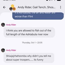 Edited Chat Screenshot Text
