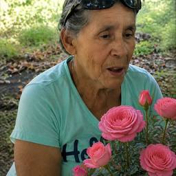 Depois - Vovó com roseira