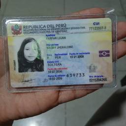 Peruvian DNI Birth Year Edit