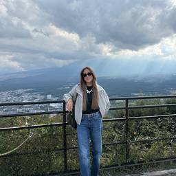 Before - Mount Fuji Travel Edit