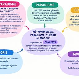 Antes - Edição de Diagrama de Teoria de Enfermagem