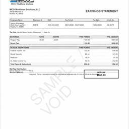 Pay Stub Logo Edit