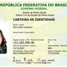 Brazilian ID Card Edit