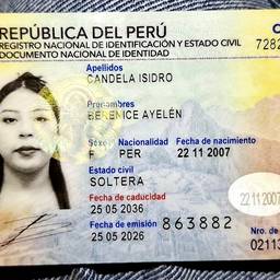 Peruvian DNI Year Edit