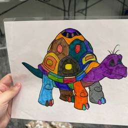 Antes - Ilustração realista de tartaruga