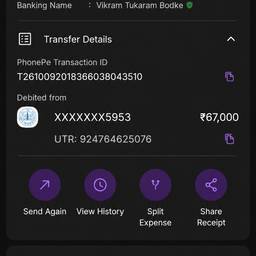 Payment Screenshot Amount Edit