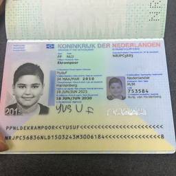 Dutch ID Card Year Edit