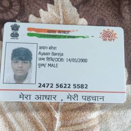 Aadhaar Birth Year Edit