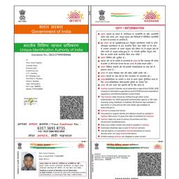 Antes - Edición del año de nacimiento en Aadhaar