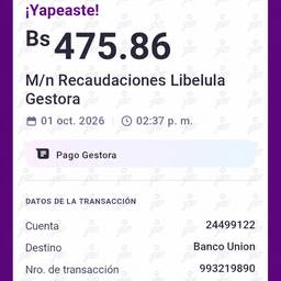 Yape Receipt Name Edit