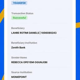 Antes - Editar Comprovante de Transferência Bancária