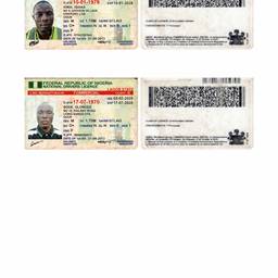 Nigerian License Year Edit