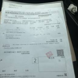 Antes - Aplanar documento para digitalização plana