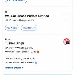 UPI Payment Time Edit