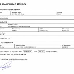 Fix Document Perspective