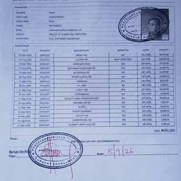 Edit Numbers in Document