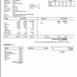 Payslip Text Edit
