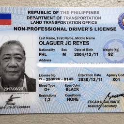 Driver's License Details Edit