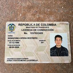 Después - Edición realista de licencia de conducir