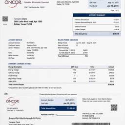 Realistic Utility Bill Template
