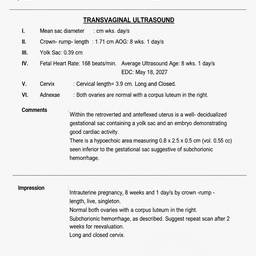 Realistic Ultrasound Report