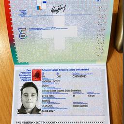 Clean Passport Number Edit