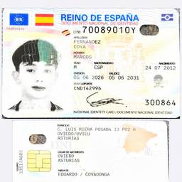 After - Spanish DNI Date Edit