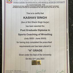 Antes - Edição de texto do certificado de críquete