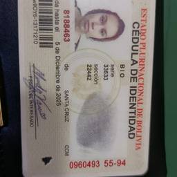 Before - Bolivian ID Photo Swap