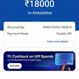UPI Payment Amount Edit