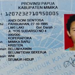 Indonesian ID Card Name Edit