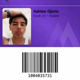 Student ID Card Photo Swap
