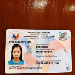 Después - Tarjeta de identificación UMID filipina nítida
