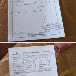 Medical Prescription Date Edit