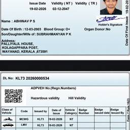 Before - ID Document Date Edit