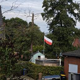 After - Polish Flag Photo Edit
