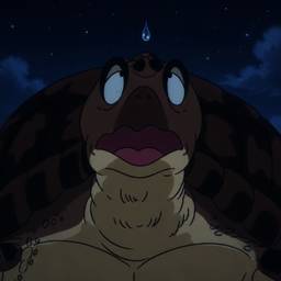 Turtle Night Scene