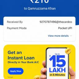 UPI Payment Amount Edit