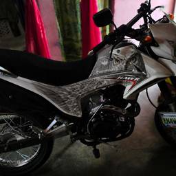 Owl Motorcycle Decal