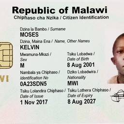 Malawi ID Card Crack Repair