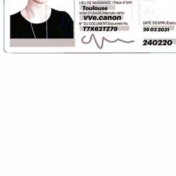 French ID Card Name Edit